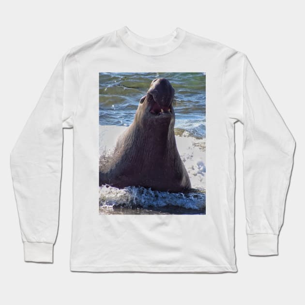 Elephant seal roaring Long Sleeve T-Shirt by Photography_fan